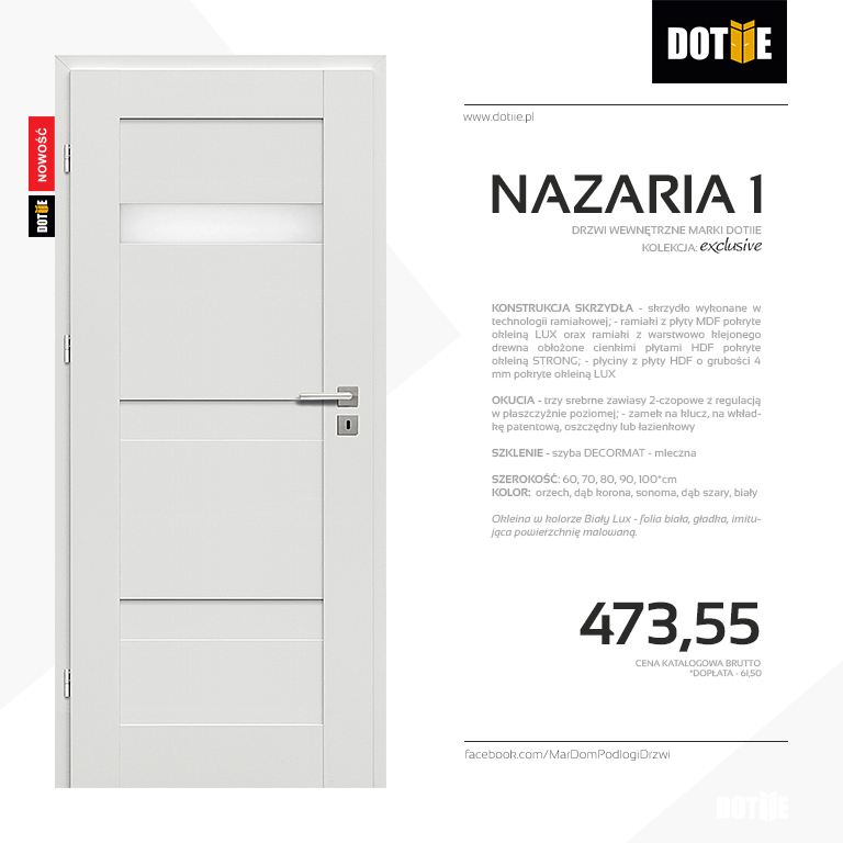 Drzwi wewnętrzne do łazienki model NAZARIA 1 marki DOTIIE