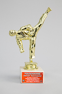 Podziękowanie - Puchar Polski Karate